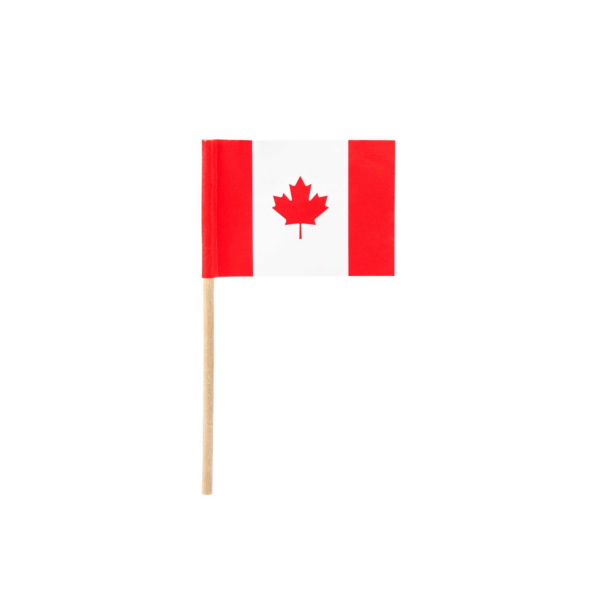 Chef 101 Canadian Flag Food Pick - 2 1/2" - 10000 count box