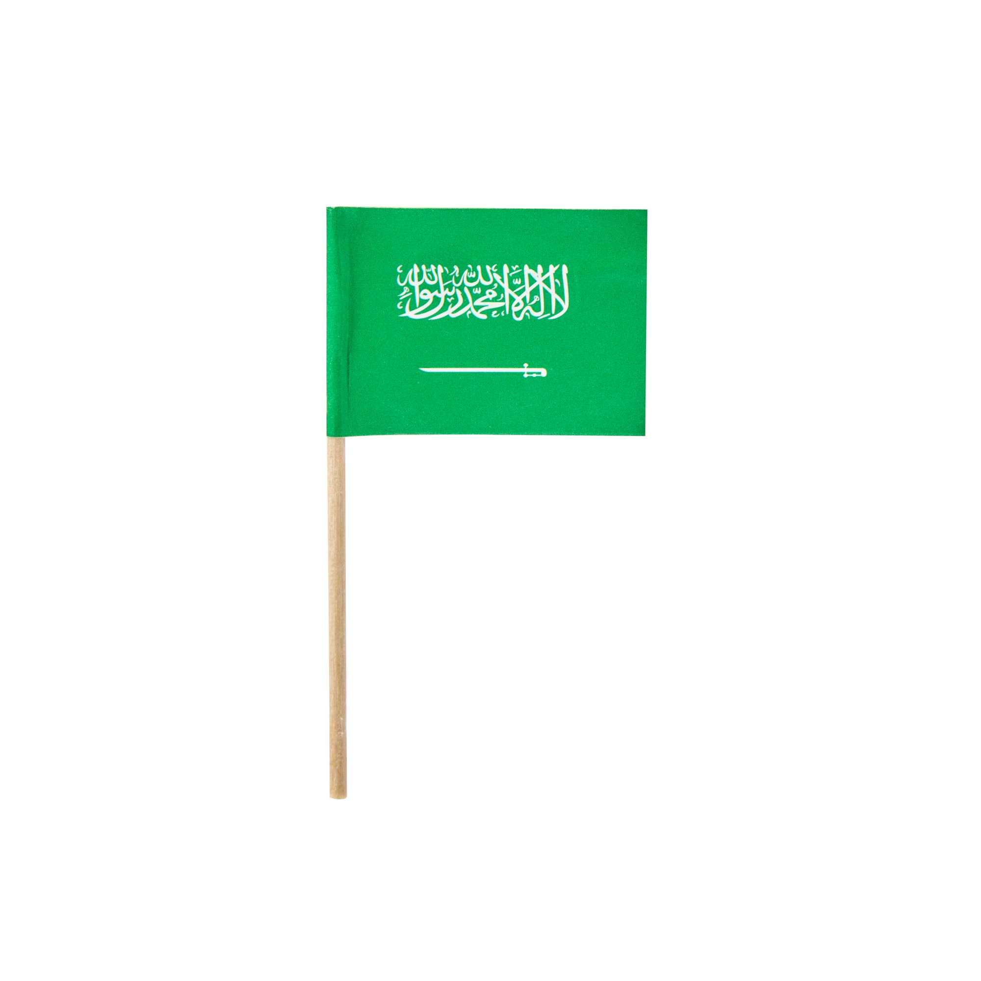 Chef 101 Saudi Arabian Flag Food Pick - 2 1/2" - 10000 count box