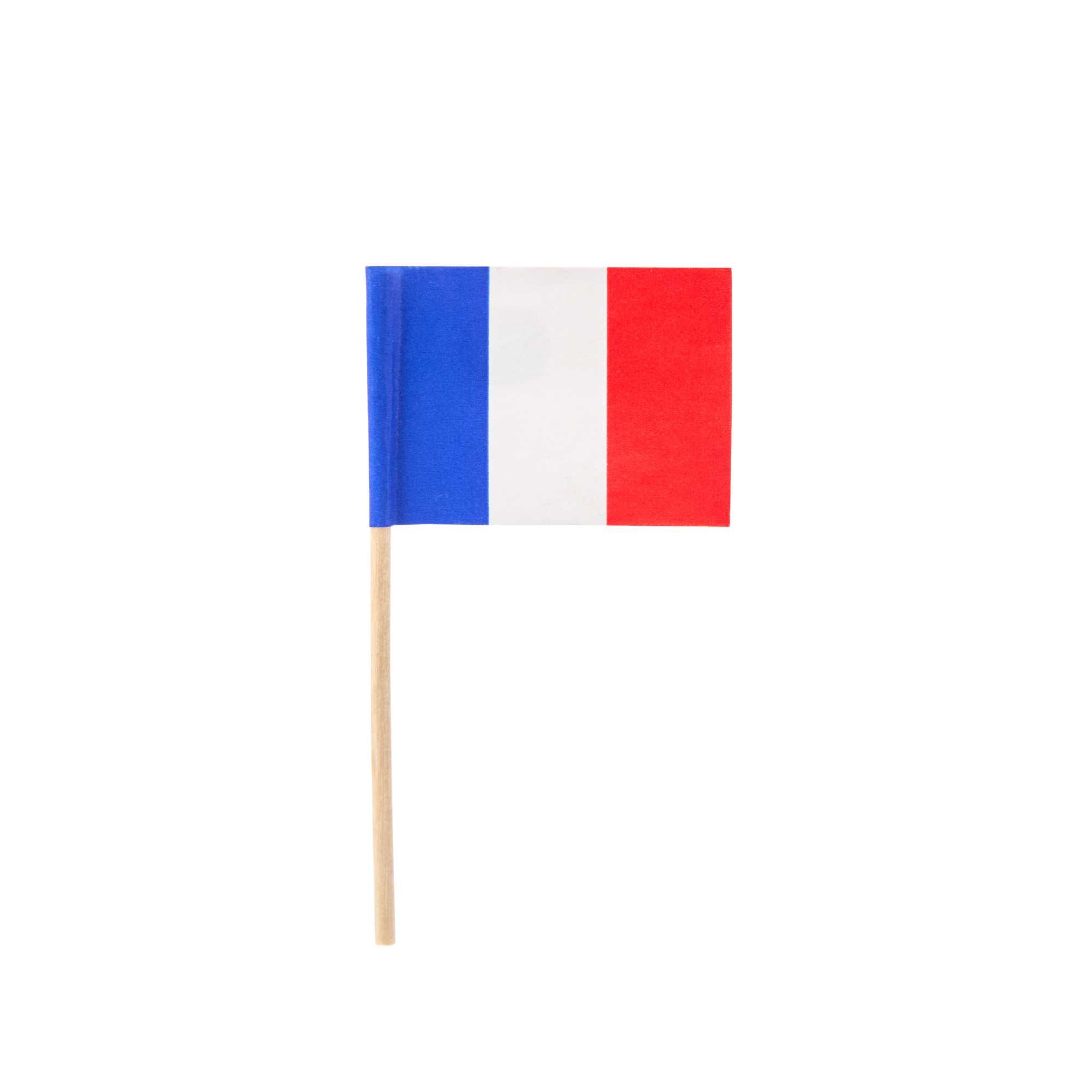 Chef 101 French Flag Food Pick - 2 1/2" - 10000 count box
