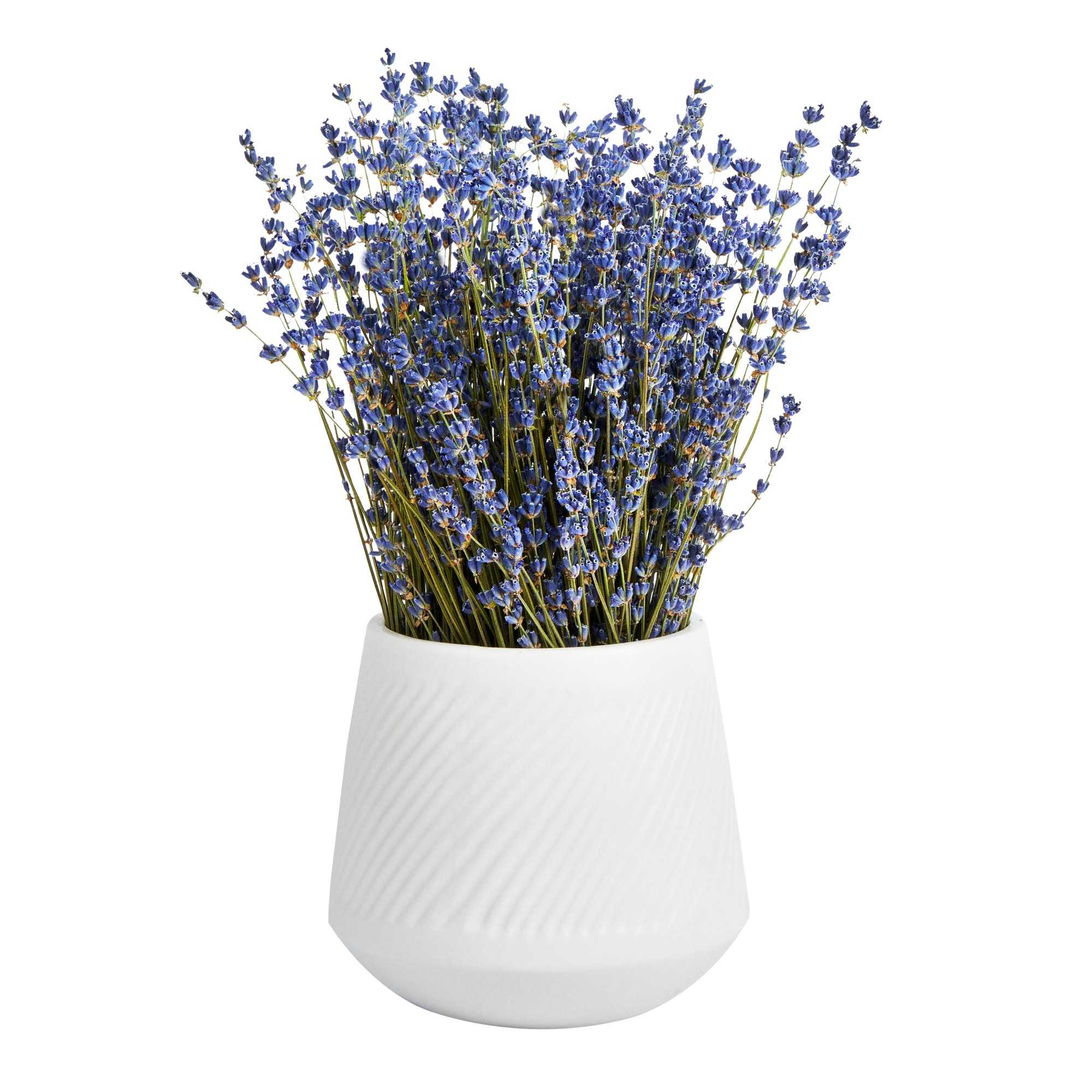 Table Art White Ceramic Tea Cup Vase - 6'' x 6'' x 5 1/2'' - 8 count box
