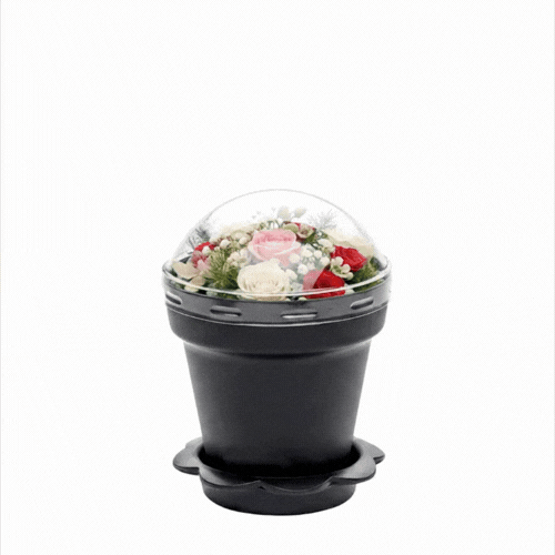 plastic plant pot holders Mini Serve 6 oz Black Plastic Mini Flower Pot Cup - With Lid - 3 inch x 3 inch x 3 inch