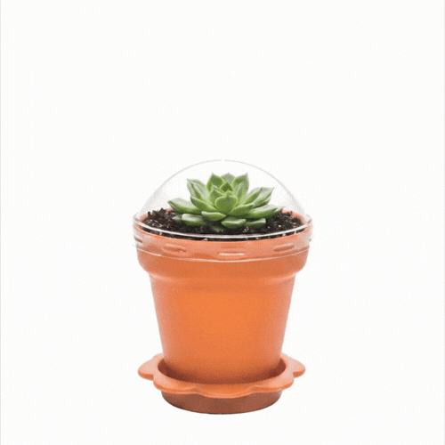 Mini Serve 6 oz Terracotta Plastic Mini Flower Pot Cup - With Lid - 3 inch x 3 inch x 3 inch