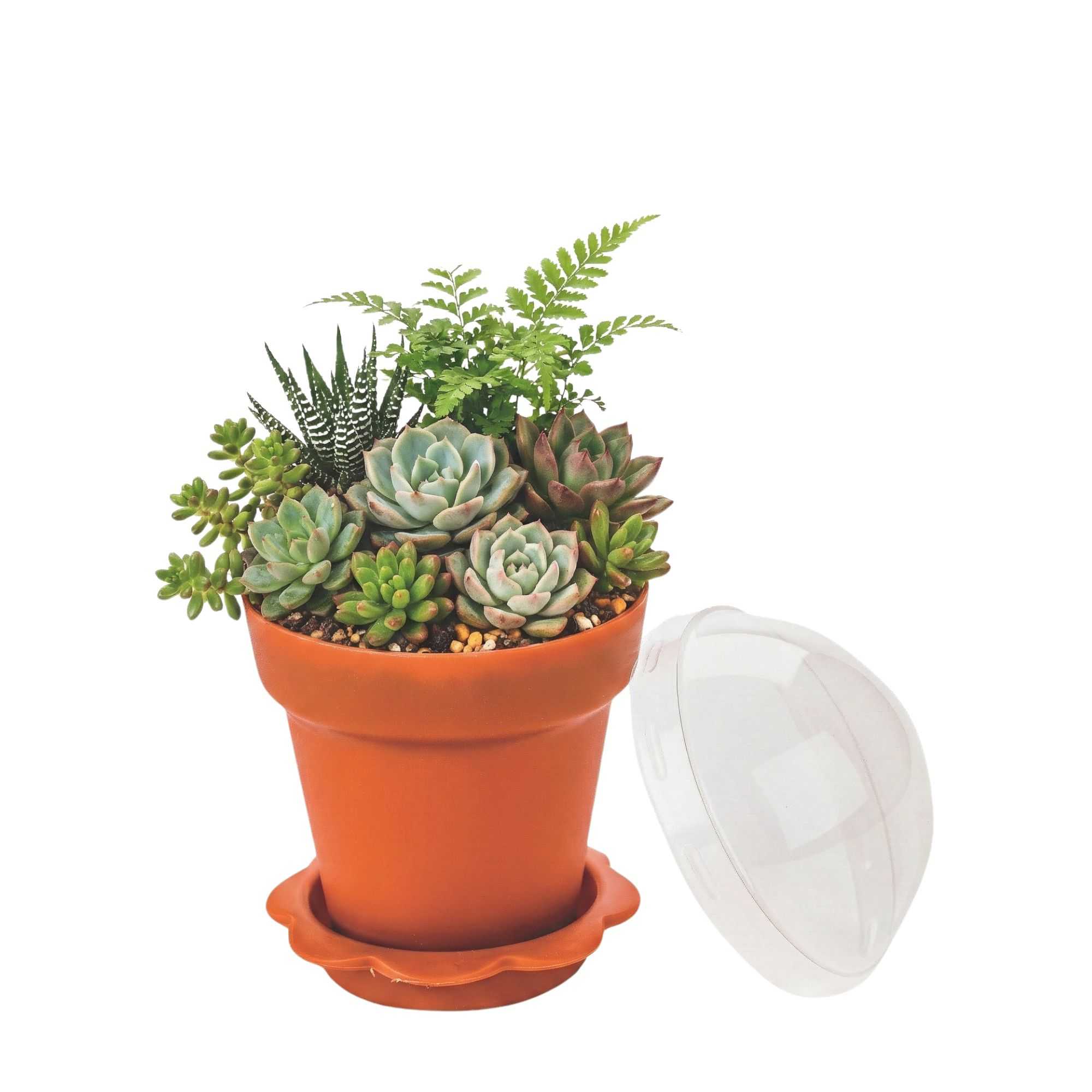 Mini Serve 6 oz Terracotta Plastic Mini Flower Pot Cup - with Lid - 3" x 3" x 3" - 800 count box