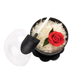 Black and White Plastic Flower Pot Shovel Spoon - 5