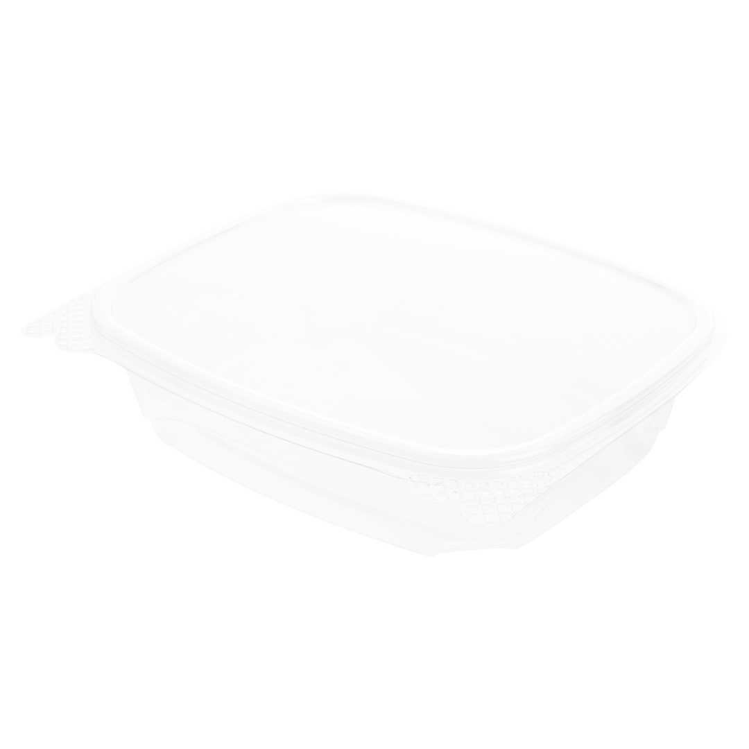 Thermo Tek 24 oz Rectangle Clear Plastic Deli / Snack Container - with Hinged Lid, Anti-Fog - 7 1/2" x 5 1/2" x 2" - 50 count box
