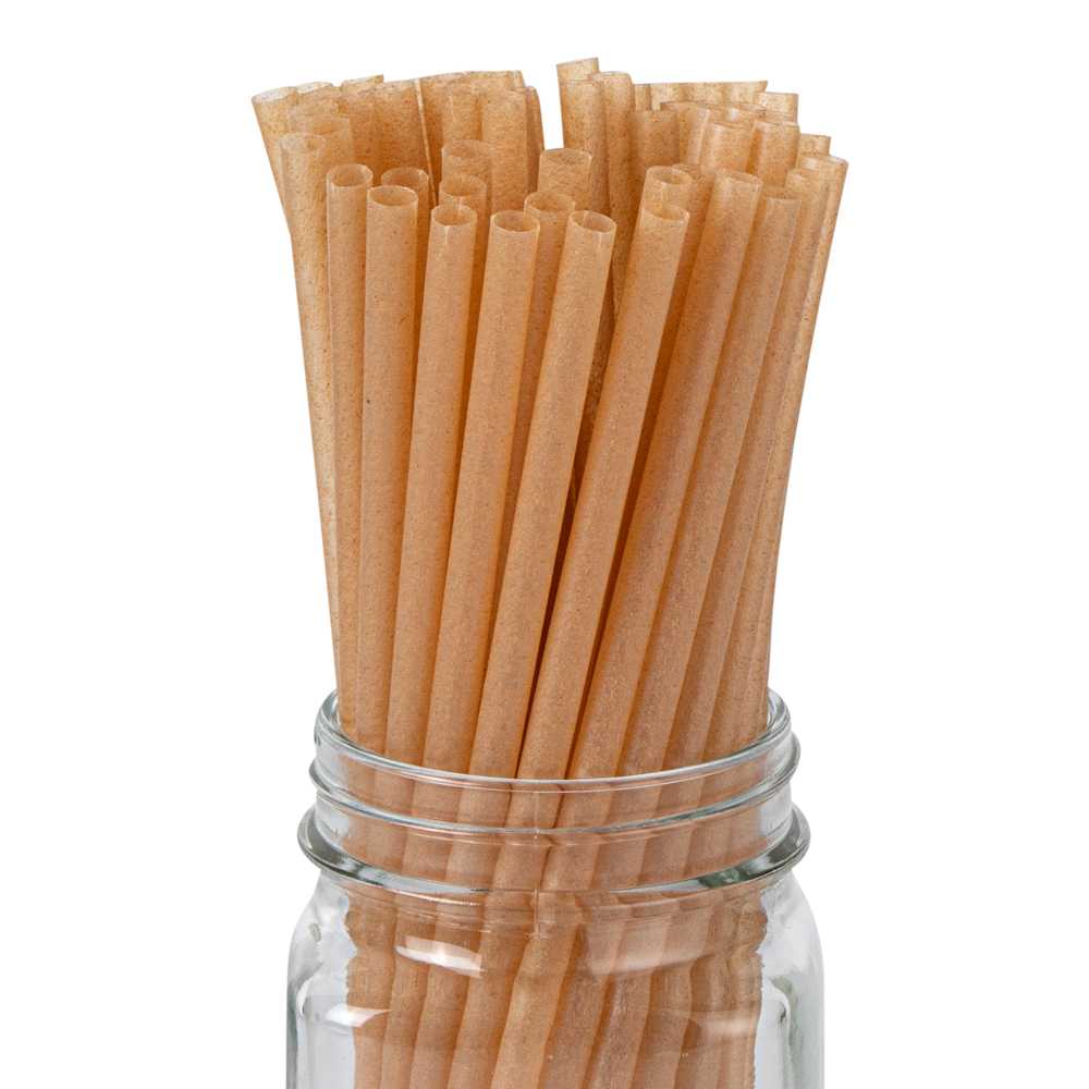 Basic Nature Brown PLA Plastic / Sugarcane Straw - Compostable - 8 1/4" - 4000 count box