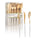 Gold w/ White Handle