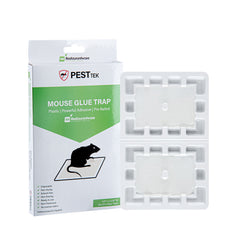 Pest Tek Plastic Mouse Glue Trap - Set of 4 - 4 1/2