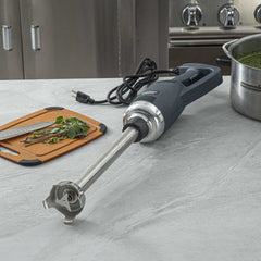 Hi Tek Blue Immersion Blender - with 16