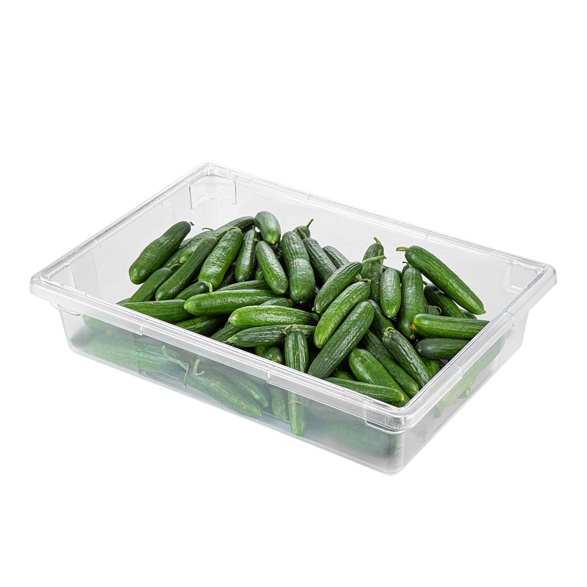 Met Lux Rectangle Clear Polycarbonate Food Storage Box - with Labeling Windows - 26" x 18" x 6" - 1 count box