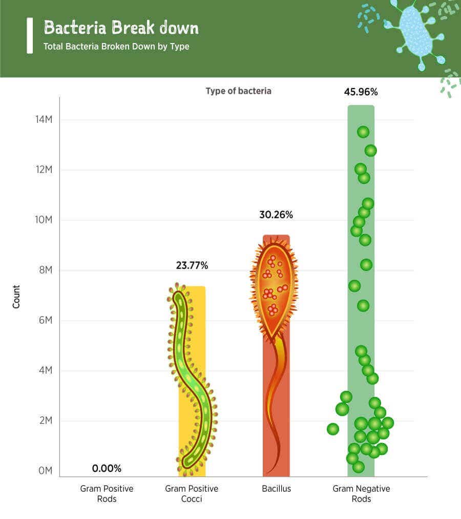 bacteria-break-down-reduced-.jpg