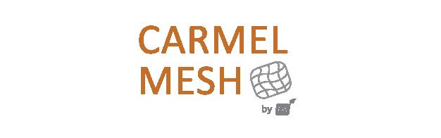 Carmel Mesh