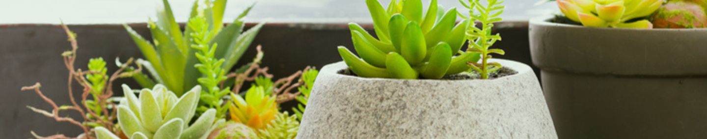 Commercial Decor