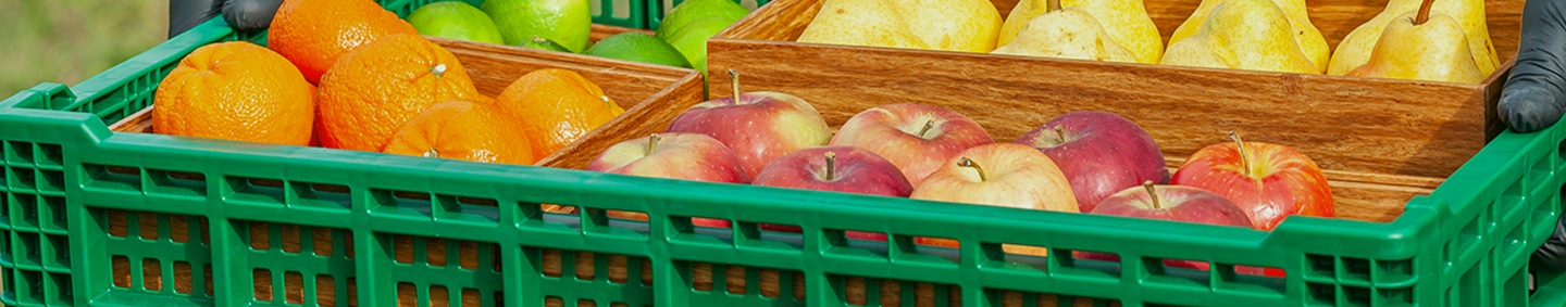 Grocery Store Displays