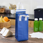 insulated_food_delivery_bags_and_catering_bags_most_popular_take_out_bags.jpg