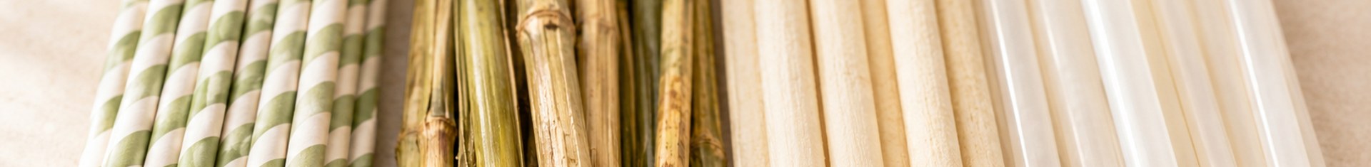 The most eco friendly straws lined up by material: paper, hay, sugarcane fiber, and PHA bioplastic