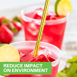 REDUCE IMPACT ON ENVIRONMENT