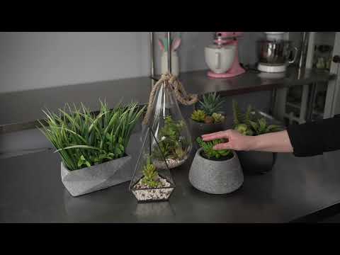 artificial succulents in glass containers Plastic Table Art Faux Succulent Arrangement - Glass Terrarium Vase - 5 1/2" x 5 1/2" x 5"