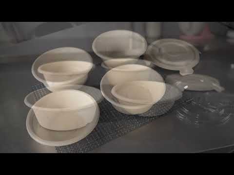 Pulp Tek New To Go Bowls with Pulp/Plastic Lids - Restaurantware