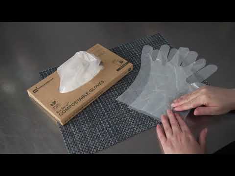 Eco Serve Compostable Gloves - Restaurantware