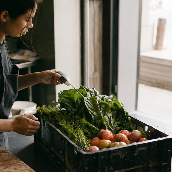 Restaurant receiving inspection checking produce temperature at the loading dock