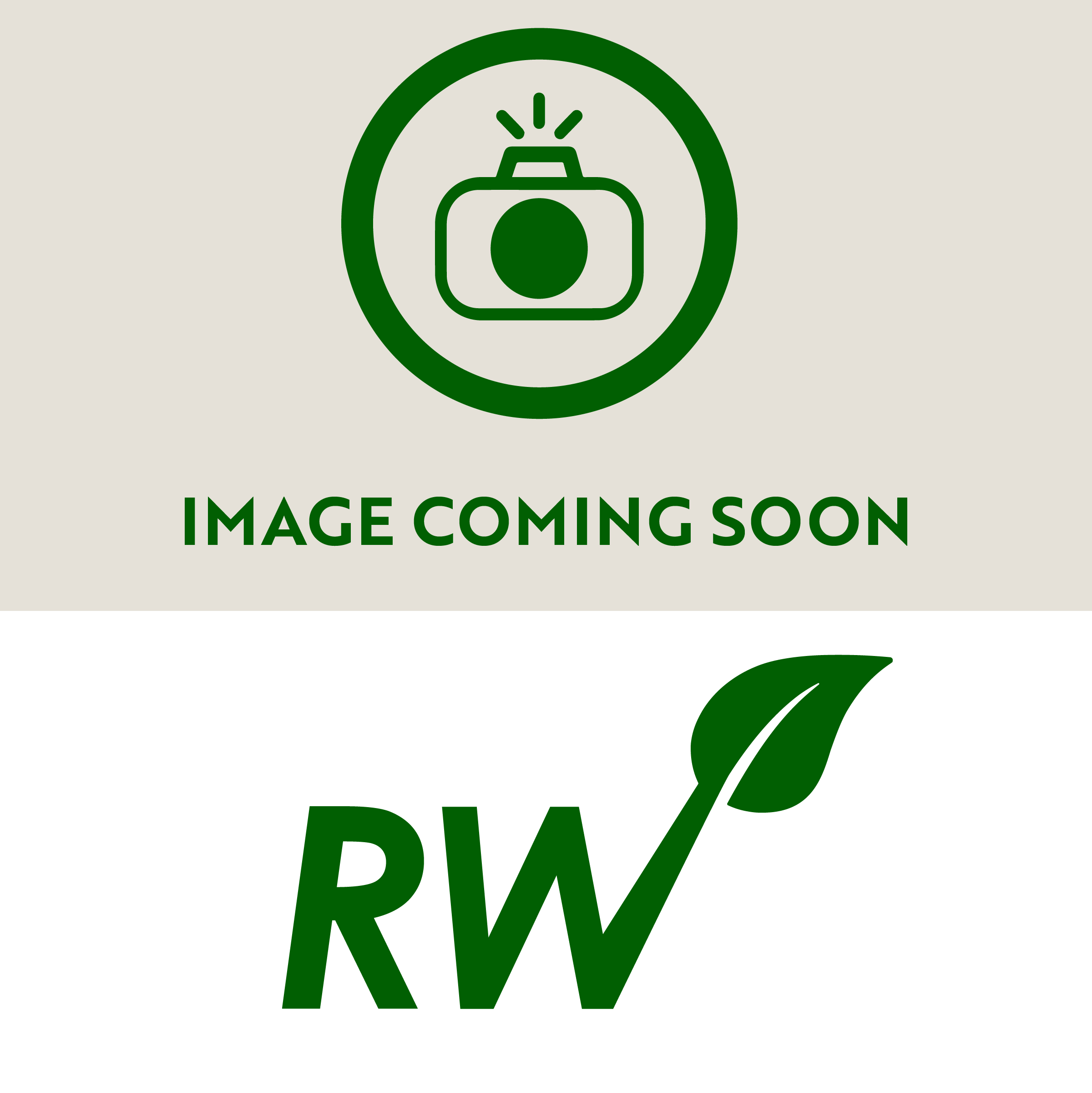 Custom Placeholder Image