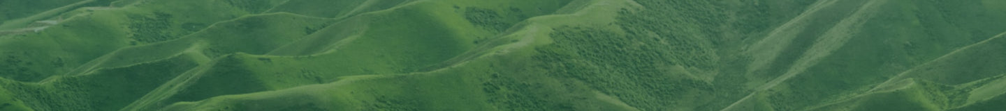 Tree Banner Background